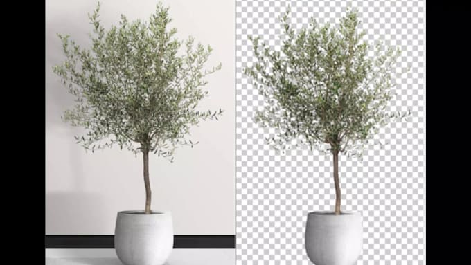 do photo background removal, cut out images, photo editing
