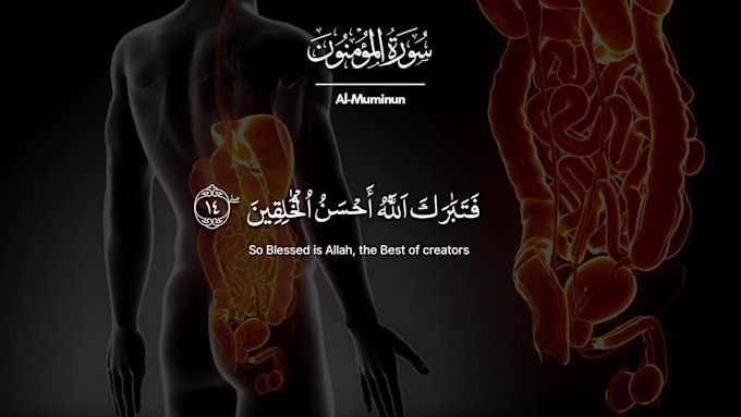 create beautiful quran recitation video with translation