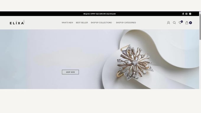 build wordpress website and do website management