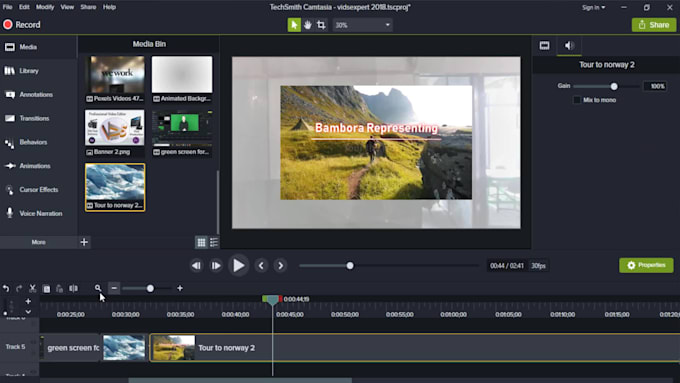 do professional video editing within 24 hours