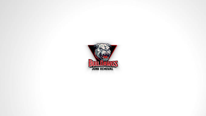 make an unique and custom 3d animation logo for you