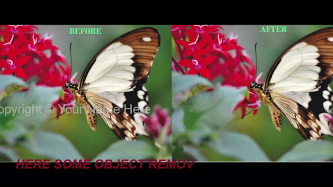 add or remove person or object from the image