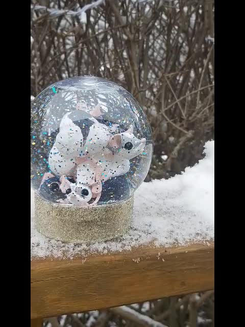 create custom made snowglobes for you or a loved one