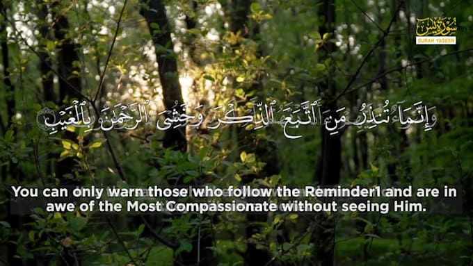 edit videos of quran recitation with subtitles,  translation