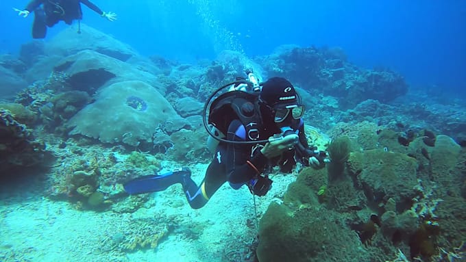 edit your underwater videos with color grade