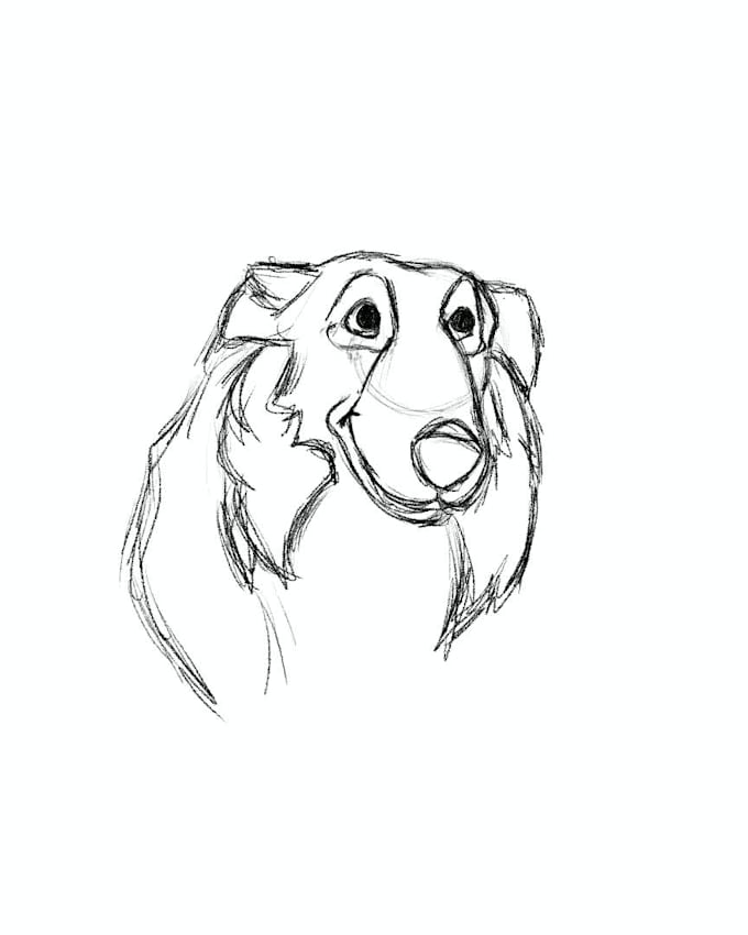 draw your pet in a cartoon digital style