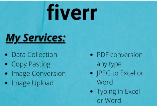 do data entry, data collection, internet research, PDF convert, copy paste