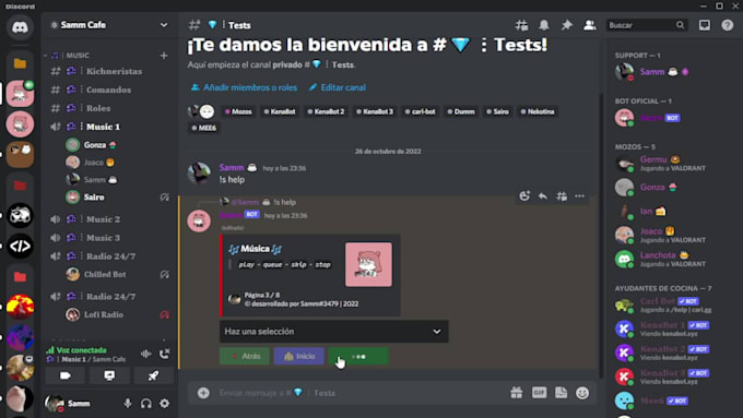 create a custom discord bot for you