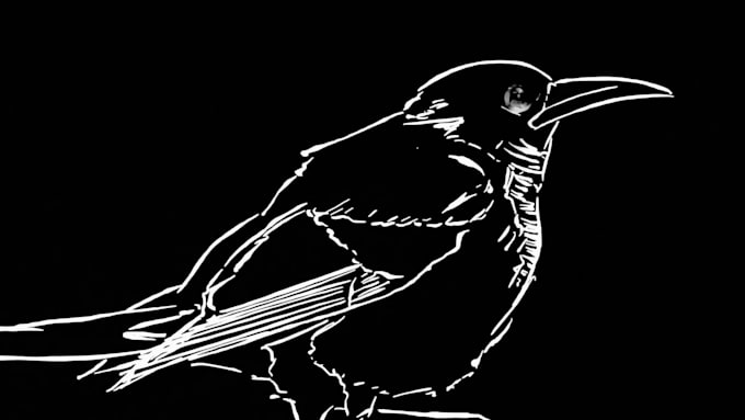storyboard and animate digitally for your mv, game or video