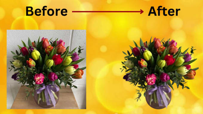 professionally remove background from image in just 2 hours