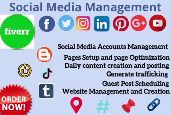 be your professional social media manager and personal assistant