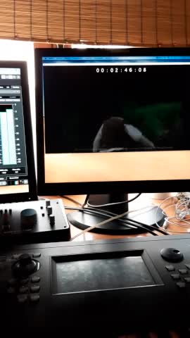 Help you with musical composition arrangements and studio musician by
