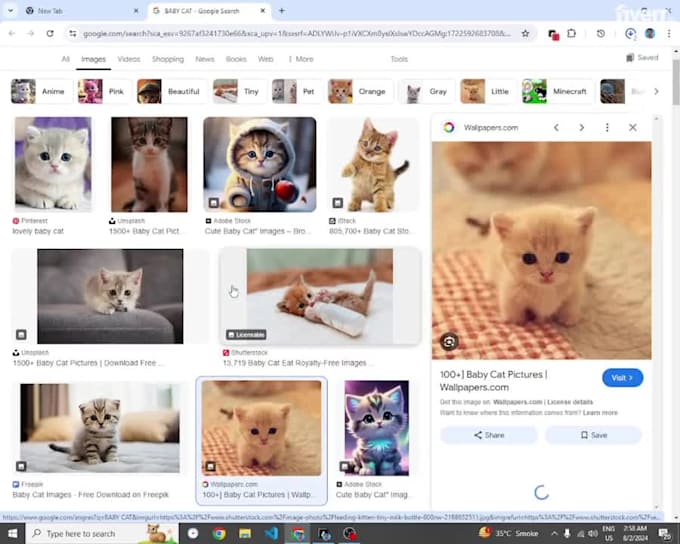do web scraping, any browser automation, web crawler, with automa and javascript