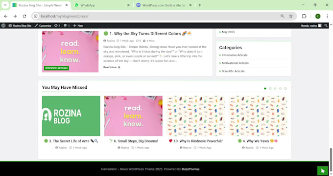 create a professional wordpress website, blog or ecommerce store