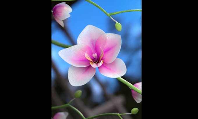 bring your product to 3d and costumize life animation