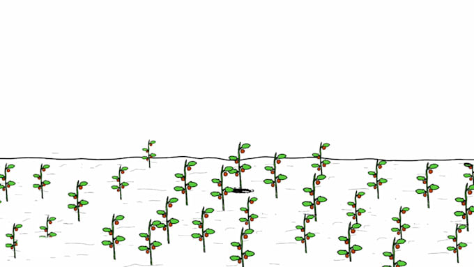 create professional stickman and stick figure animation
