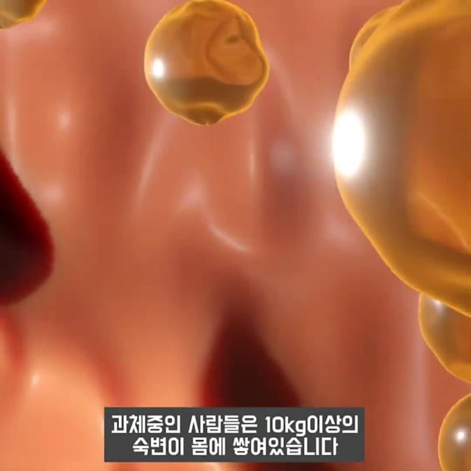 provide professional korean voiceover