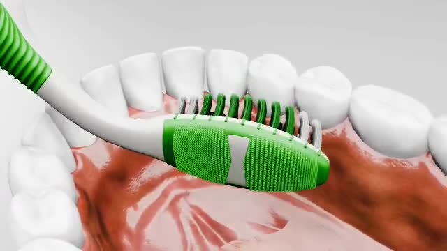 create 3d dental animation 3d dental video 3d teeth animation 3d medical video