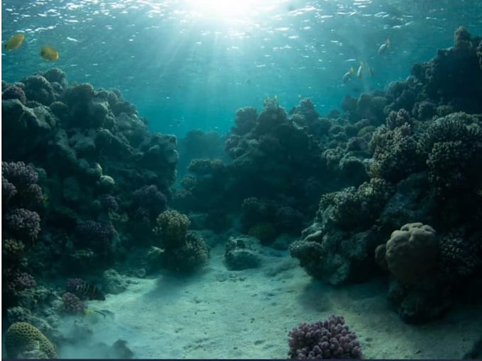 remove green tint and enhance your underwater photos