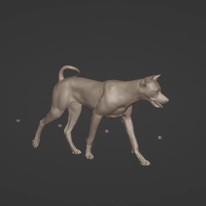 Animal animation, 3d character modeling, pet animation, animal model by