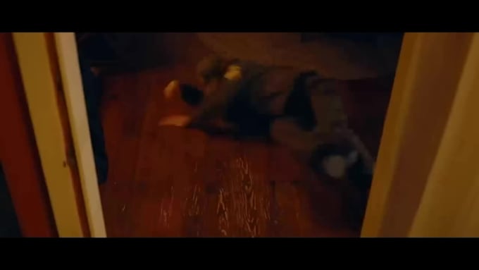 create a cinematic paranormal horror video book trailer