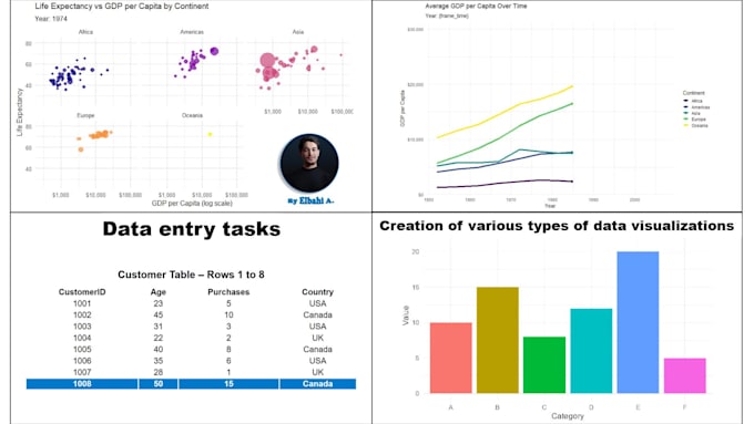 do data entry or visualisation, excel tasks, copy paste and chart creation