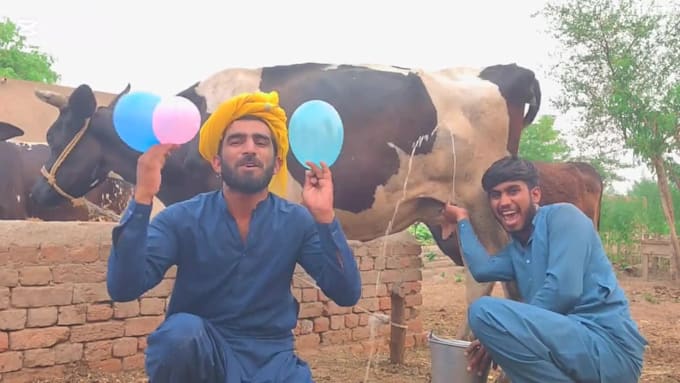 make happy birthday video or funny birthday video message