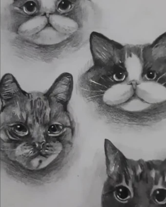 draw your pet portrait drawings