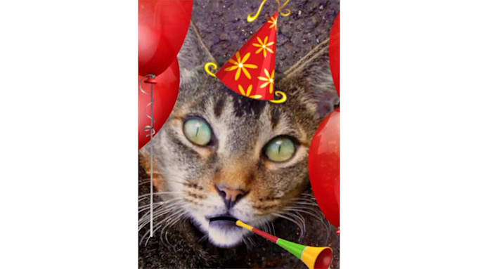 sing a BIRTHDAY Cat Video Greeting original song for you