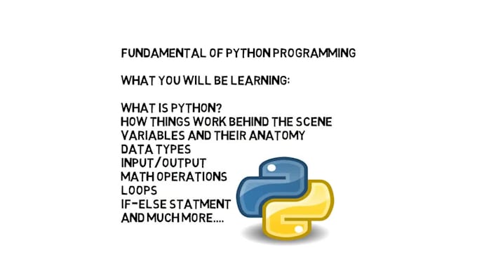 teach python and c plus plus from basics to advanced with live coding
