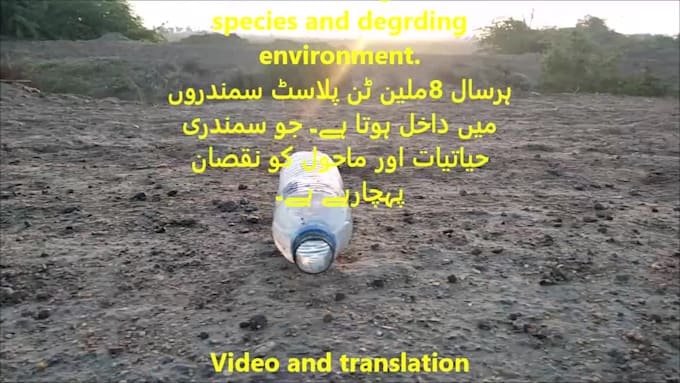 translate from sindhi translate from sindhi