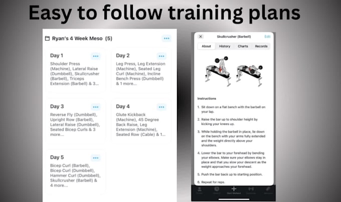 create a custom training plan for you