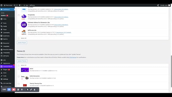 provide bug fixes, updates and full wordpress website care