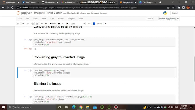 Do data science and machine learning projects in python by