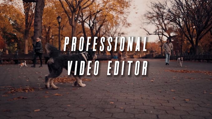do cool, chromatic and impressive video and vlog editing