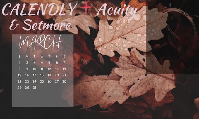 setup calandly, acuity,scheduling,and integrate with website