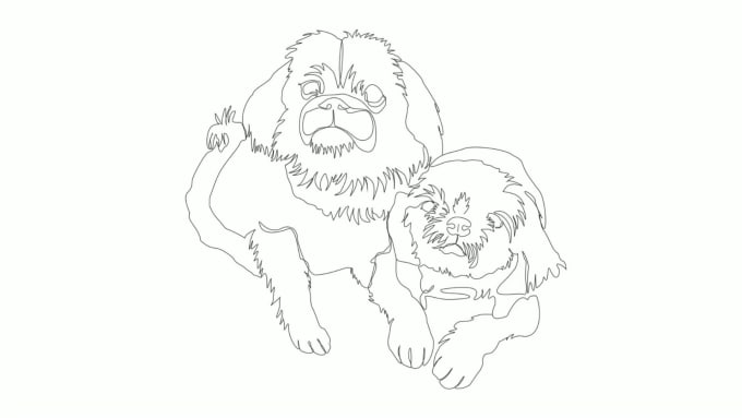 draw a line art of your pet