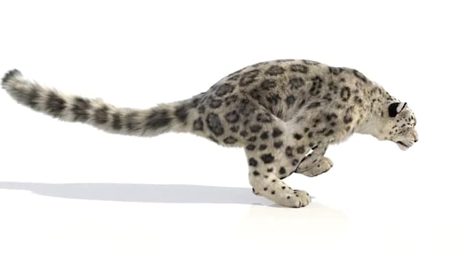 Do 3d cgi animal animation,3d animal model,vfx compositing,3d animal ...