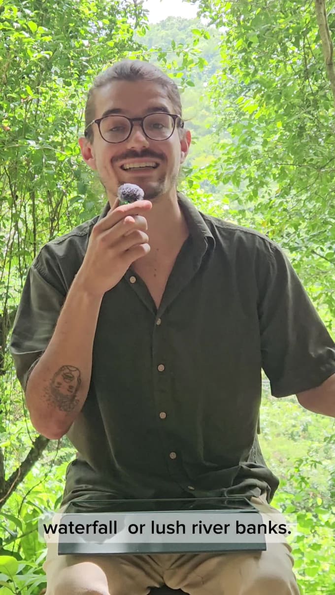 make multilingual ugc from the jungle that converts and stops the scroll