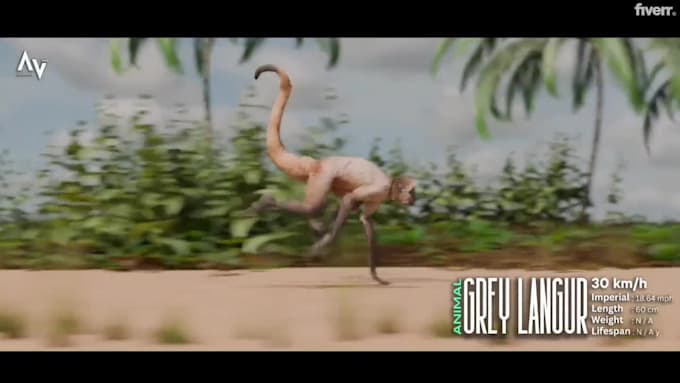 create 3d models, 3d characters and 3d motion graphics