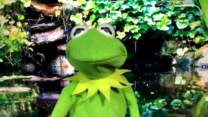 Crea un video di compleanno personalizzato della rana kermit