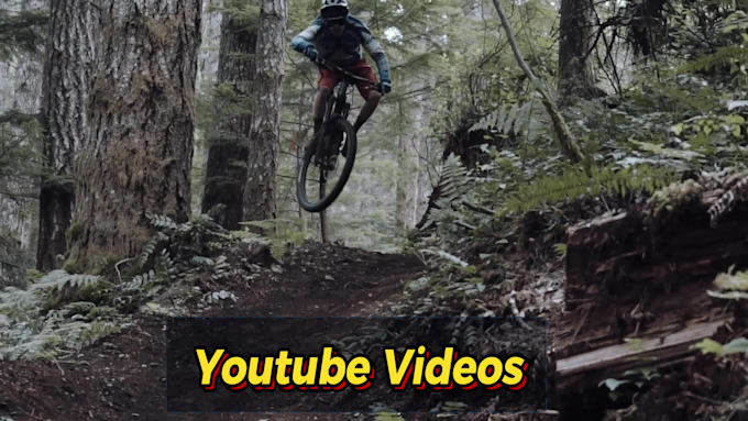 do professional video editing within 24 hours