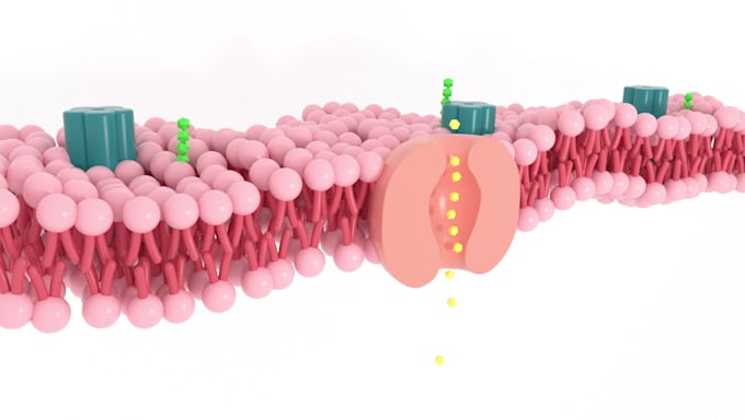 do 3d medical and scientific modeling and animation