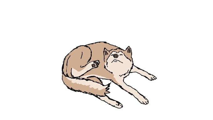 create 2d animated gifs