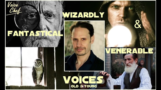 provide your wizardly venerable male voice over