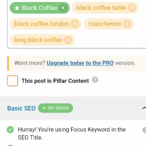 fix SEO issues and optimize wordpress shopify wix websites