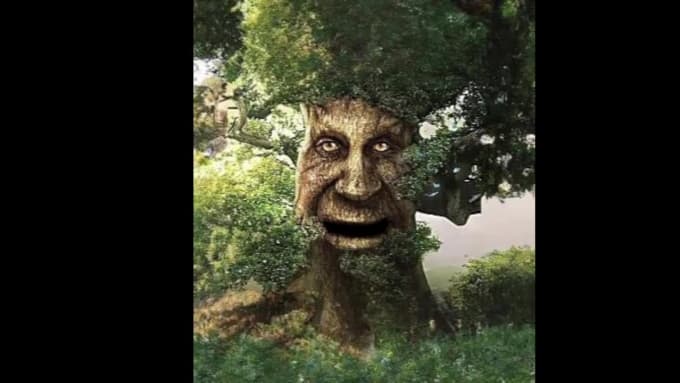 Wise mystical tree video game｜TikTok Search