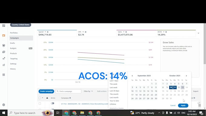 setup manage, optimize professional amazon PPC ads campaign, expert PPC manager