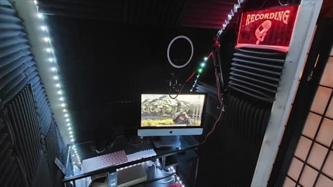 record a professional narration for your project