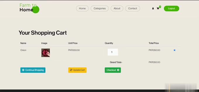build a modern full stack web application